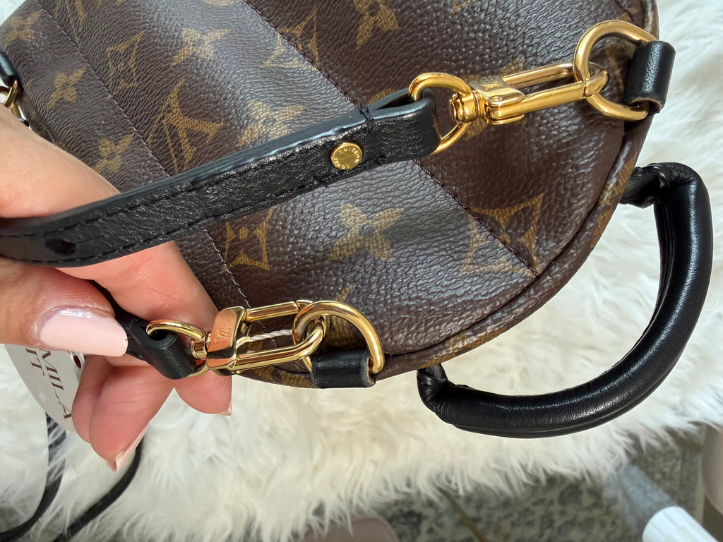 LOUIS VUITTON MONOGRAM PALM SPRINGS MINI BACKPACK