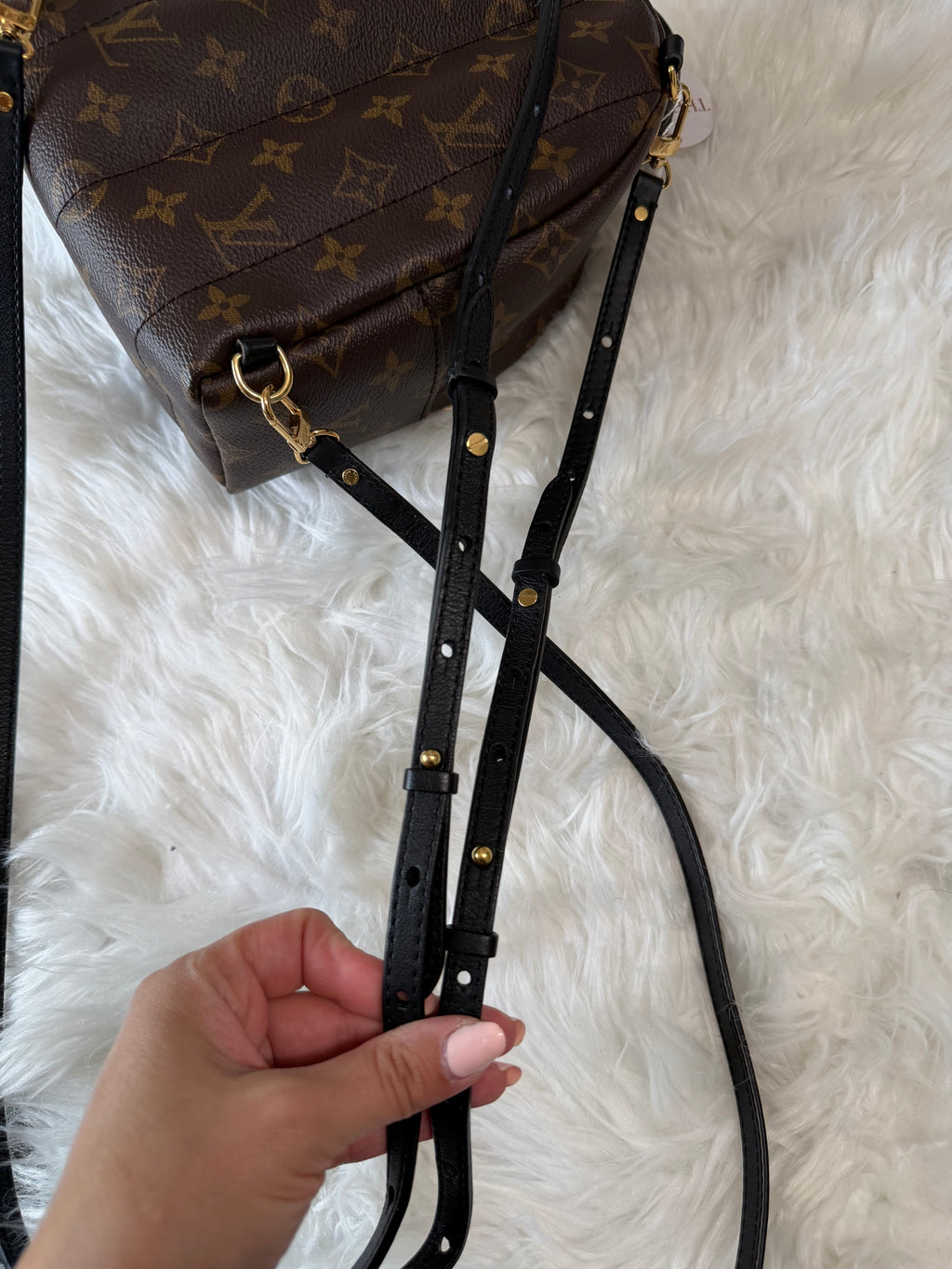 LOUIS VUITTON MONOGRAM PALM SPRINGS MINI BACKPACK