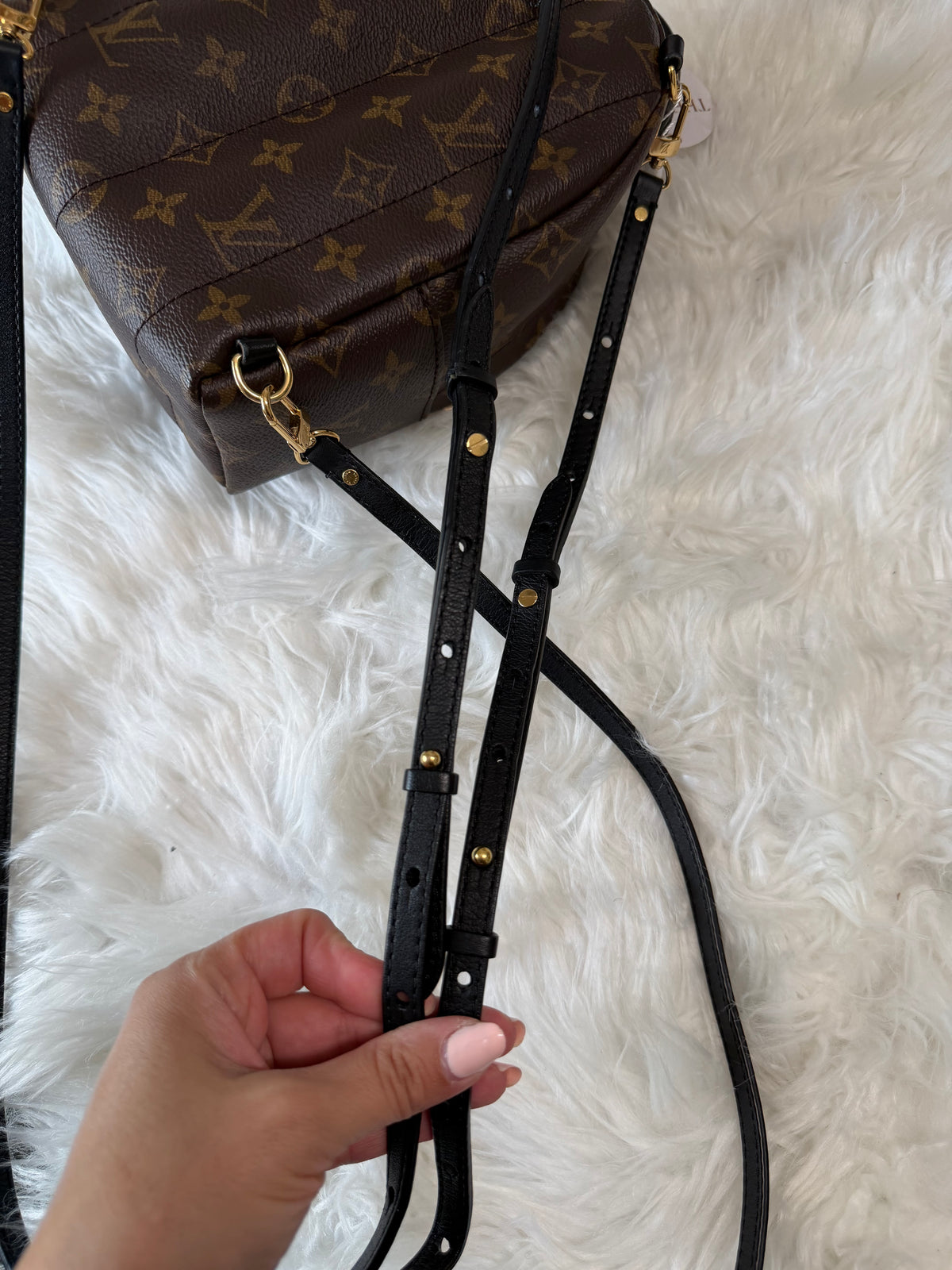 LOUIS VUITTON MONOGRAM PALM SPRINGS MINI BACKPACK