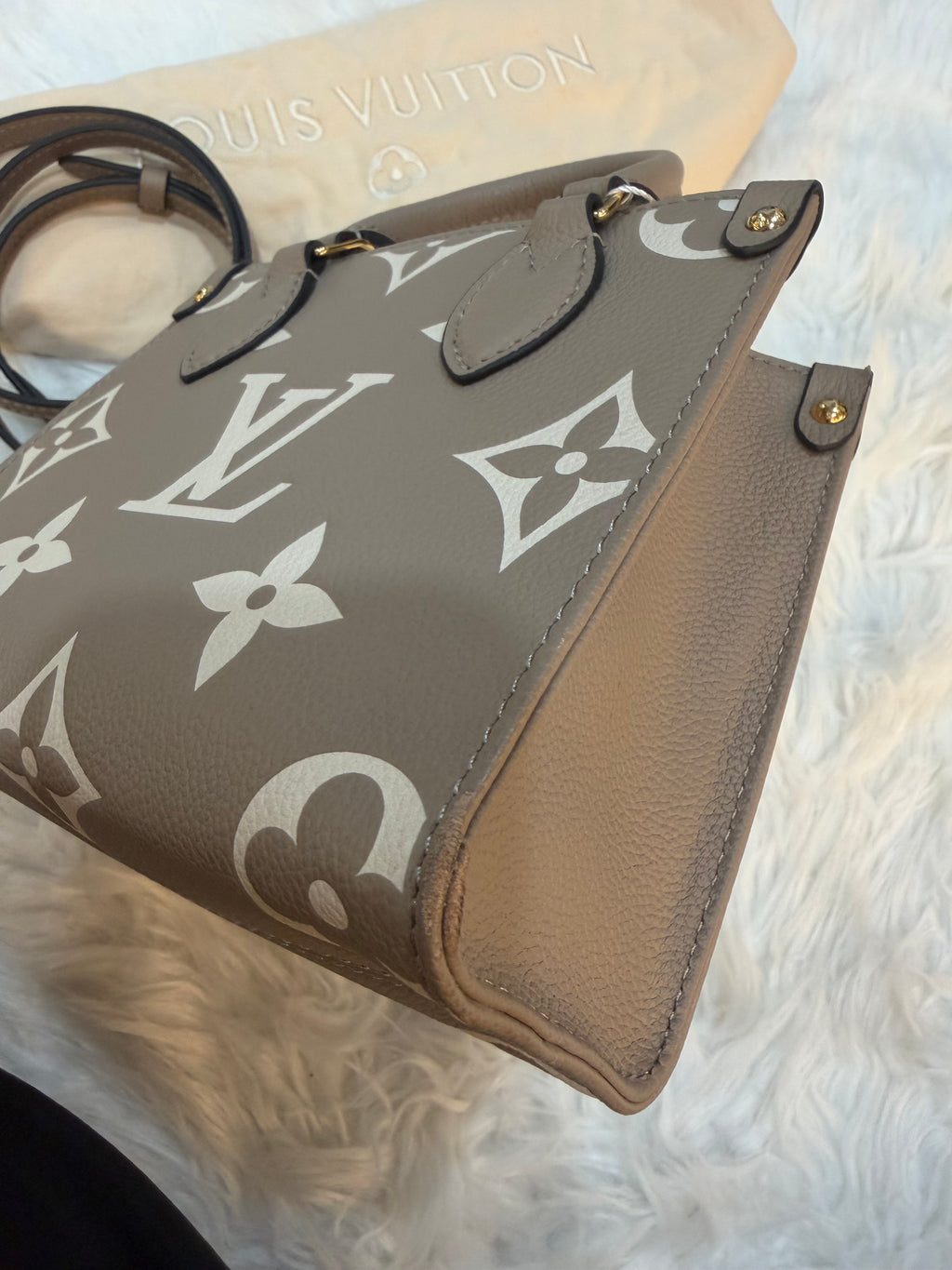 LOUIS VUITTON GIANT FELICIE ON THE GO BB BAG