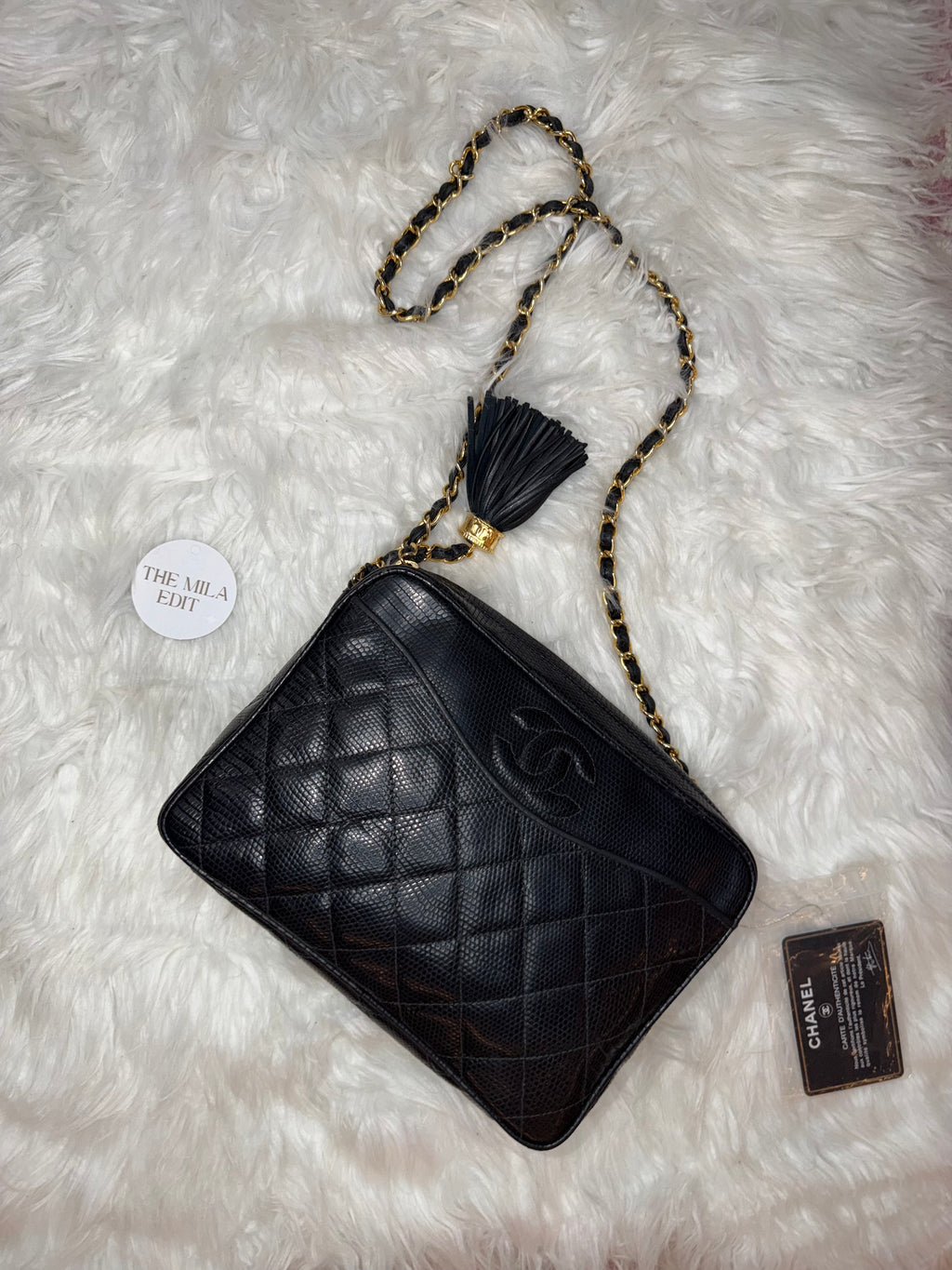 CHANEL VINTAGE LIZARD CAMERA BAG