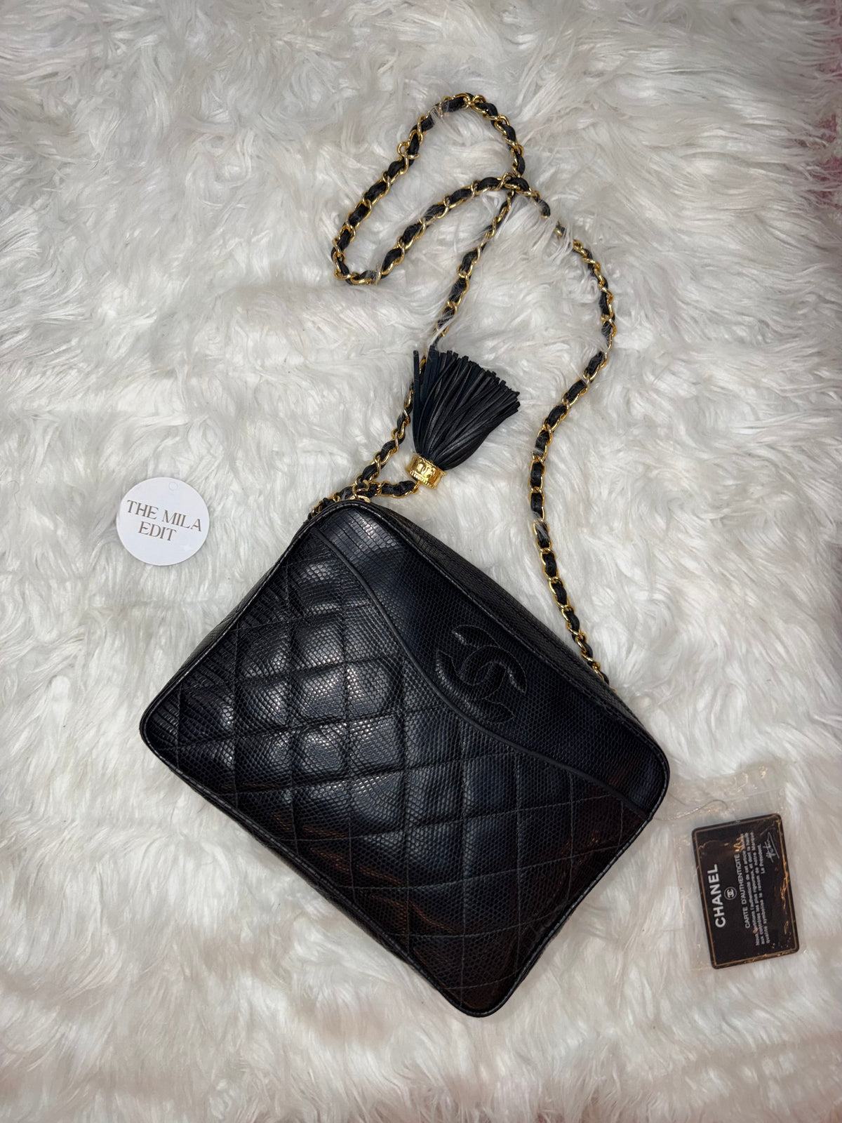 CHANEL VINTAGE LIZARD CAMERA BAG