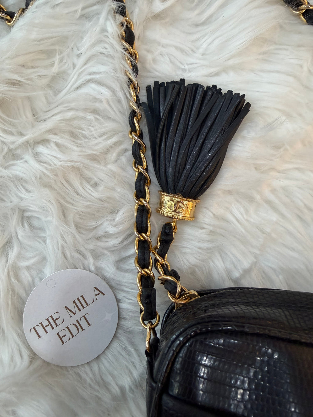 CHANEL VINTAGE LIZARD CAMERA BAG