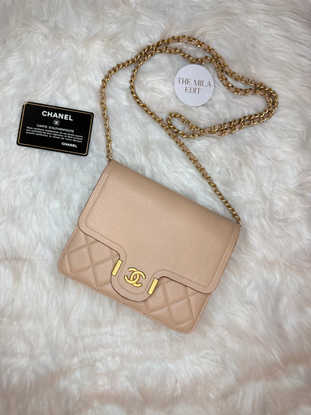 CHANEL (WOC) WALLET ON CHAIN