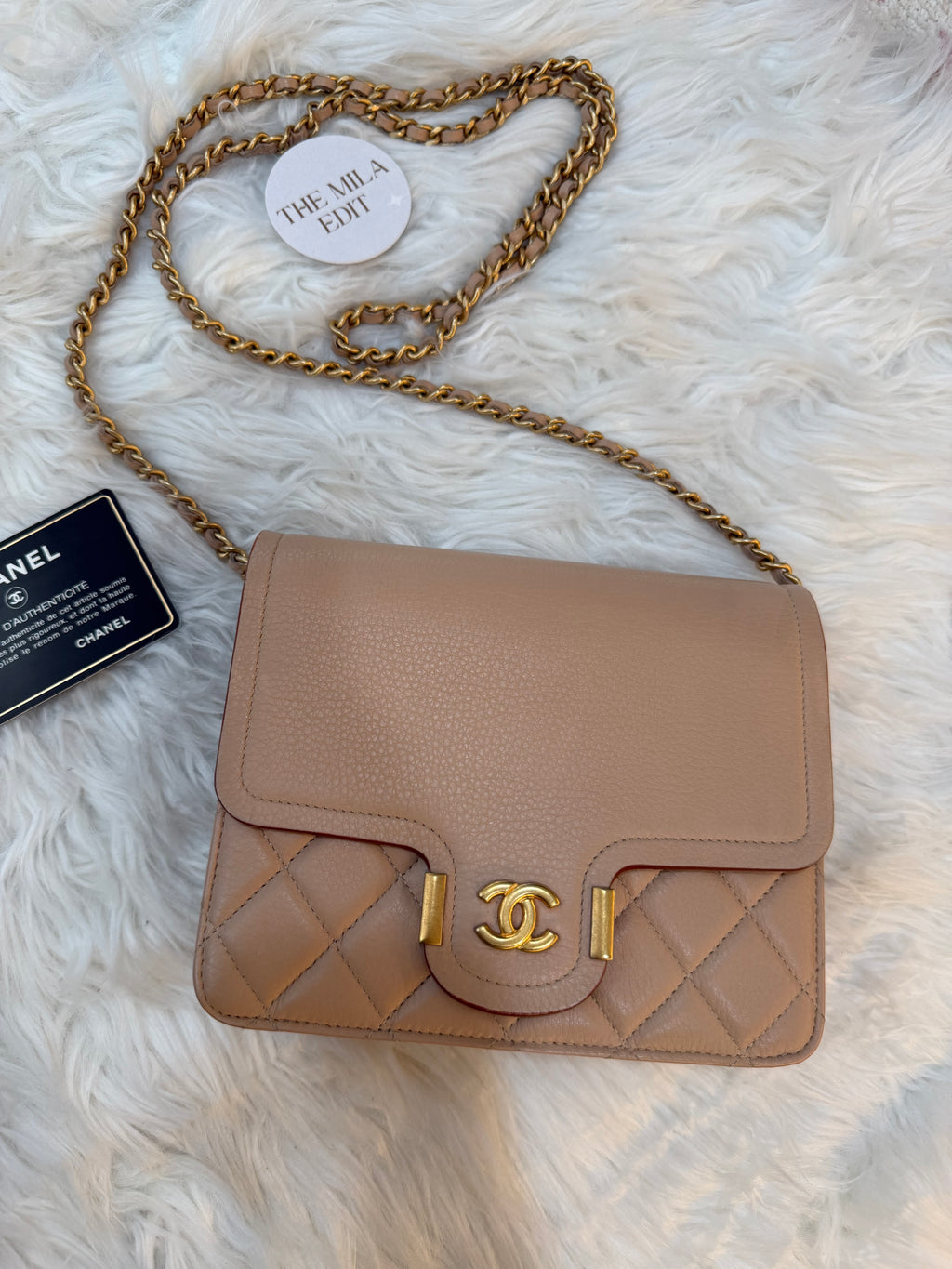 CHANEL (WOC) WALLET ON CHAIN