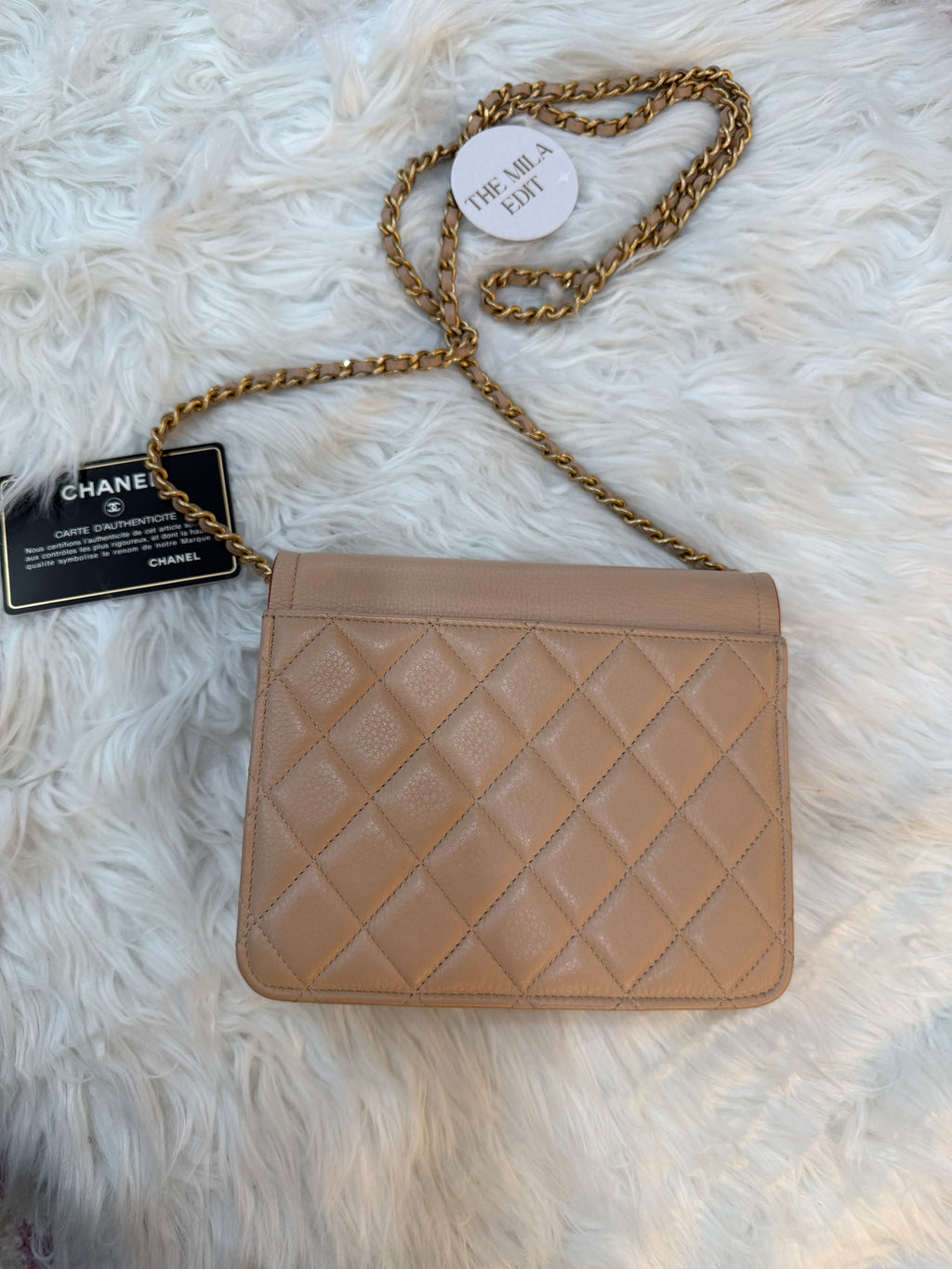 CHANEL (WOC) WALLET ON CHAIN